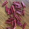 Metallic Mini Pegs (20 Pack)