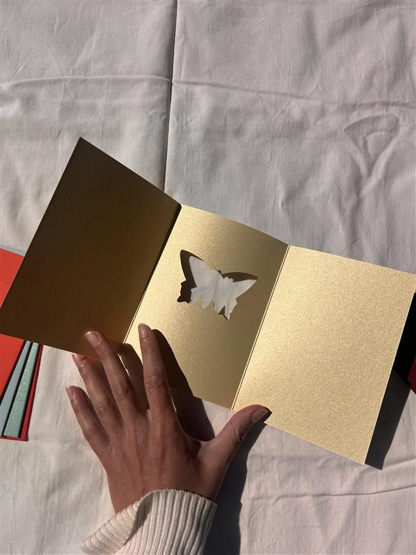 A5 Cards (Pack of 6)